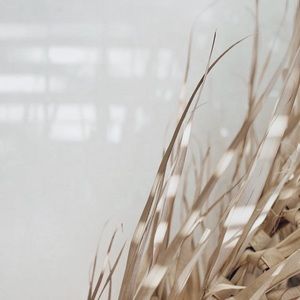 Meet your Posher, Paulyne